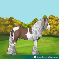 Horse Color:Silver Black Splash Tobiano 