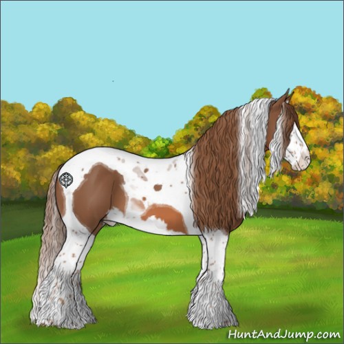 Horse Color:Chestnut Splash Tobiano 