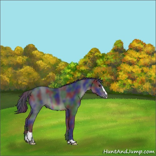 Horse Color:Nacre Black Sabino
