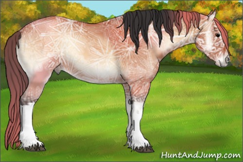 Horse Color:Bay Ice Onyx Rabicano 