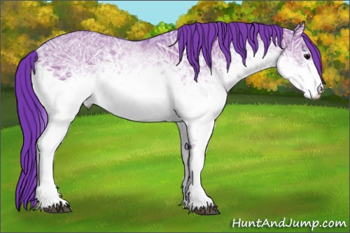 Horse Color:Watercolor White Spotted Grullo Ice Rabicano 