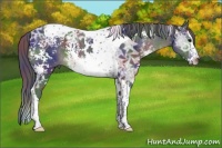 Horse Color:Nacre White Spotted Smoky Black Ice Splash Tobiano 