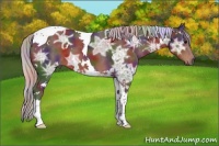 Horse Color:Nacre White Spotted Silver Brown Ice Tobiano 