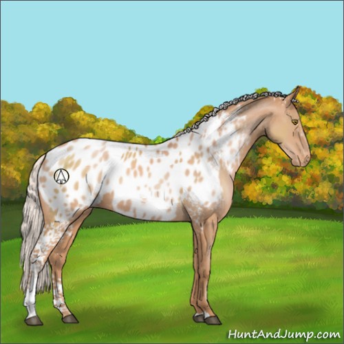 Horse Color:White Spotted Silver Brown Pearl Appaloosa 