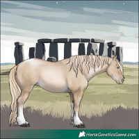 Horse Color:Chocolate Palomino Pearl Dun Tobiano 