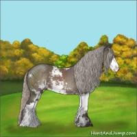 Horse Color:Silver Black Sabino 