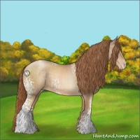 Horse Color:White Spotted Smoky Black Pearl 