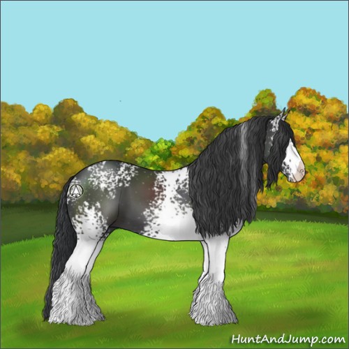 Horse Color:White Spotted Black 