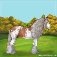 Horse Color:White Spotted Silver Brown 