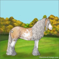Horse Color:Silver Bay Pearl Sabino 