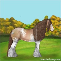Horse Color:White Spotted Brown Pearl 