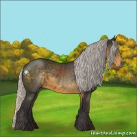 Horse Color:Silver Smoky Black 