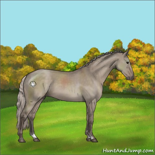 Horse Color:Silver Grullo Sabino 