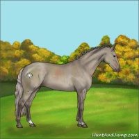 Horse Color:Silver Grullo Sabino 