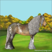 Horse Color:White Spotted Silver Smoky Black 
