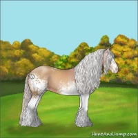 Horse Color:White Spotted Silver Classic Champagne Sabino 