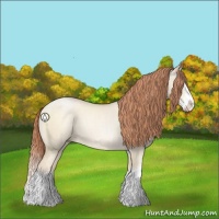 Horse Color:Classic Cream Champagne Pearl Dun Sabino Splash 
