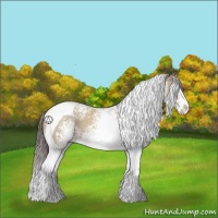 Horse Color:White Spotted Classic Champagne Dun Splash Tobiano 