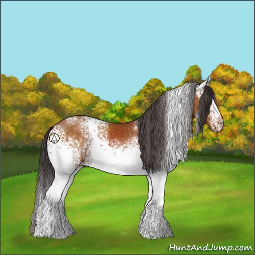 Horse Color:White Spotted Buckskin 