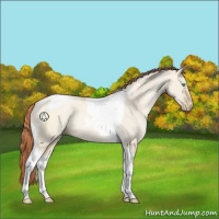 Horse Color:Sable Champagne Pearl Dun Sabino Tobiano Rabicano