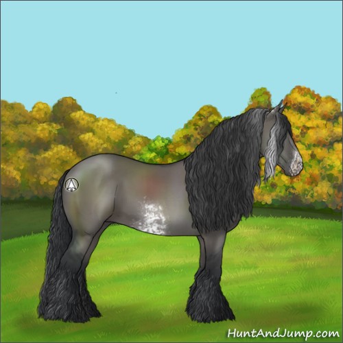 Horse Color:White Spotted Grullo Rabicano