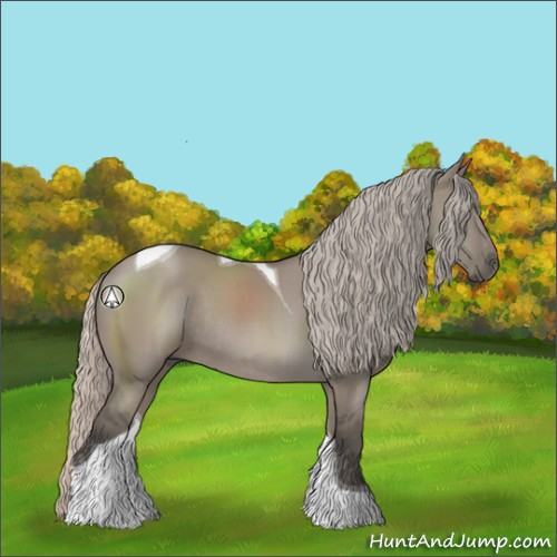 Horse Color:Silver Grullo Sabino Tobiano Rabicano 