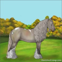 Horse Color:Silver Grullo Sabino Tobiano Rabicano 