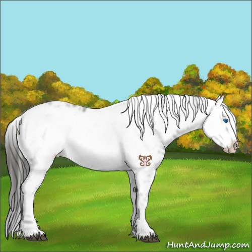 Horse Color:Liver Chestnut Frame