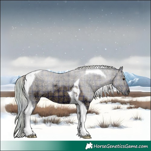 Horse Color:Plaid  Silver Black Ice Tobiano 