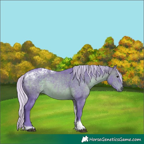 Horse Color:Watercolor Silver Brown Ice Tobiano 