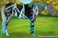 Horse Color:Void Painted Thunderstruck Chocolate Silver Black Tobiano Appaloosa 