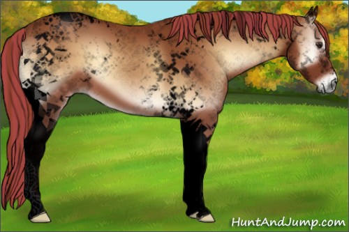 Horse Color:Void Painted Red Onyx Tobiano 