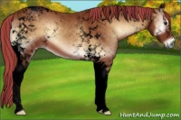 Horse Color:Void Painted Red Onyx Tobiano 