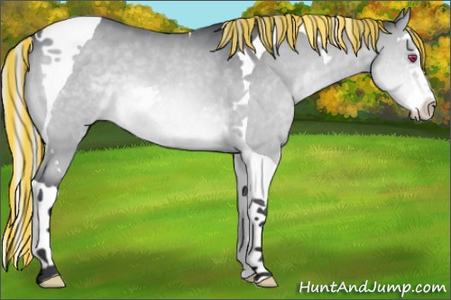 Horse Color:Painted Silver Brown Chinchilla Dun Splash Tobiano