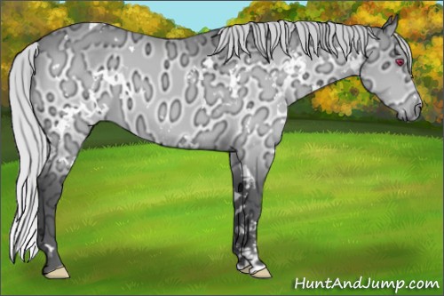 Horse Color:White Spotted Silver Brown Chinchilla Ice