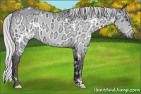 Horse Color:White Spotted Silver Brown Chinchilla Ice 