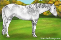 Horse Color:Silver Blue Onyx Chinchilla Tobiano 