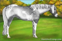 Horse Color:Silver Blue Onyx Chinchilla Ice Tobiano 