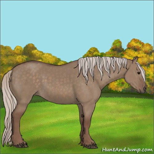 Horse Color:Silver Grullo 