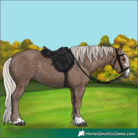 Horse Color:Silver Black 