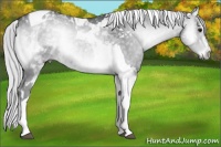 Horse Color:Silver Blue Onyx Chinchilla Tobiano 