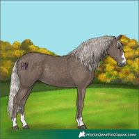 Horse Color:Silver Black 