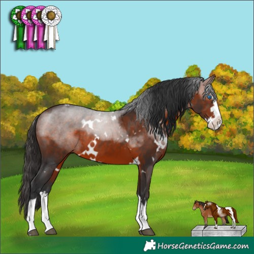 Horse Color:White Spotted Bay Sabino Splash Rabicano