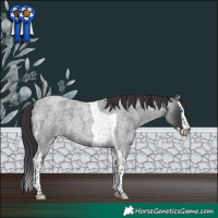 Horse Color:Smoky Blue Roan Splash Tobiano 
