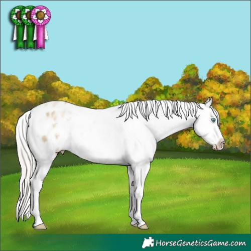 Horse Color:White Spotted Silver Buckskin Pearl Dun Tobiano Varnish Rabicano