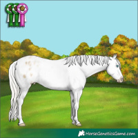 Horse Color:White Spotted Silver Buckskin Pearl Dun Tobiano Appaloosa Rabicano 