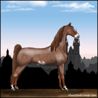 Horse Color:Red Roan Frame 