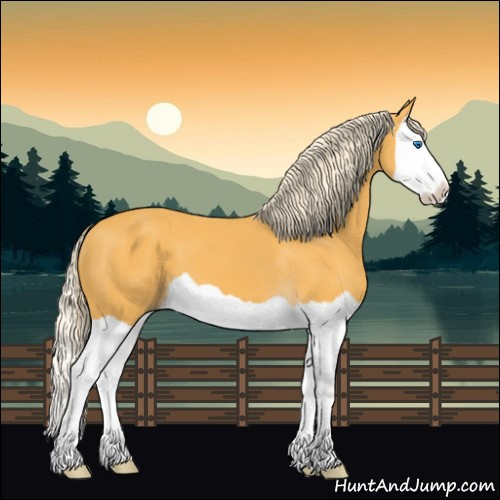 Horse Color:Palomino Splash