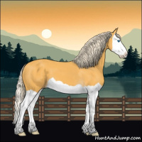 Horse Color:Palomino Splash