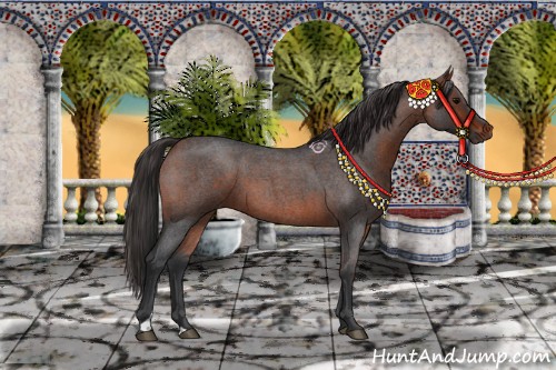Horse Color:Bay Roan